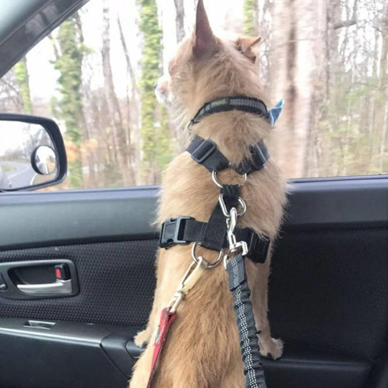 Safety Seat Belt for Dogs