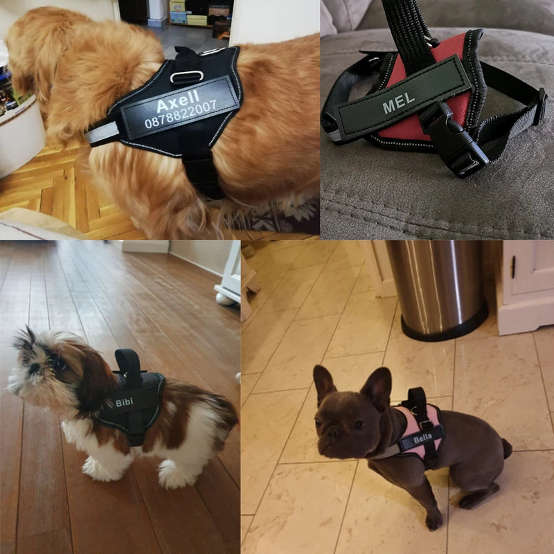 Personalized Pet Harness
