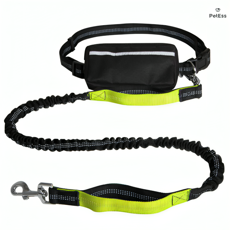 Premium Nylon Leash Hands Free