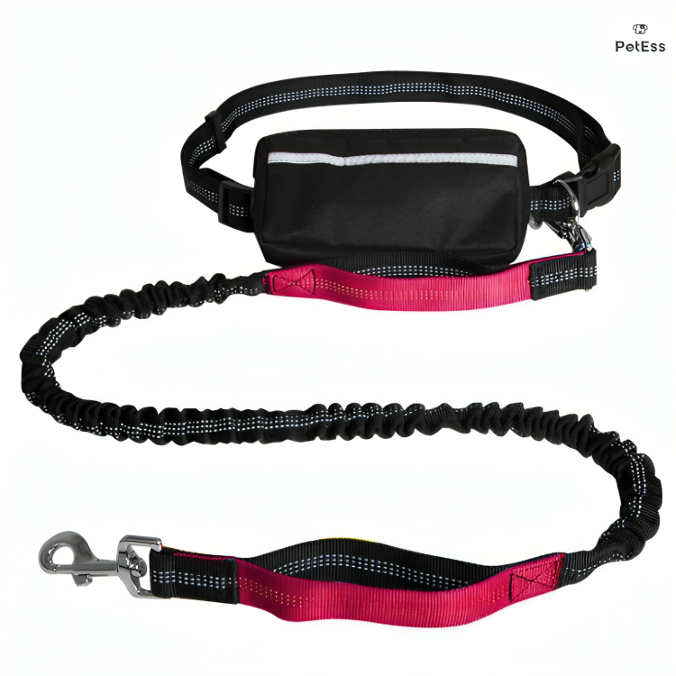 Premium Nylon Leash Hands Free