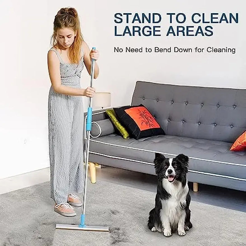 Carpet Broom Pet Hair Remover