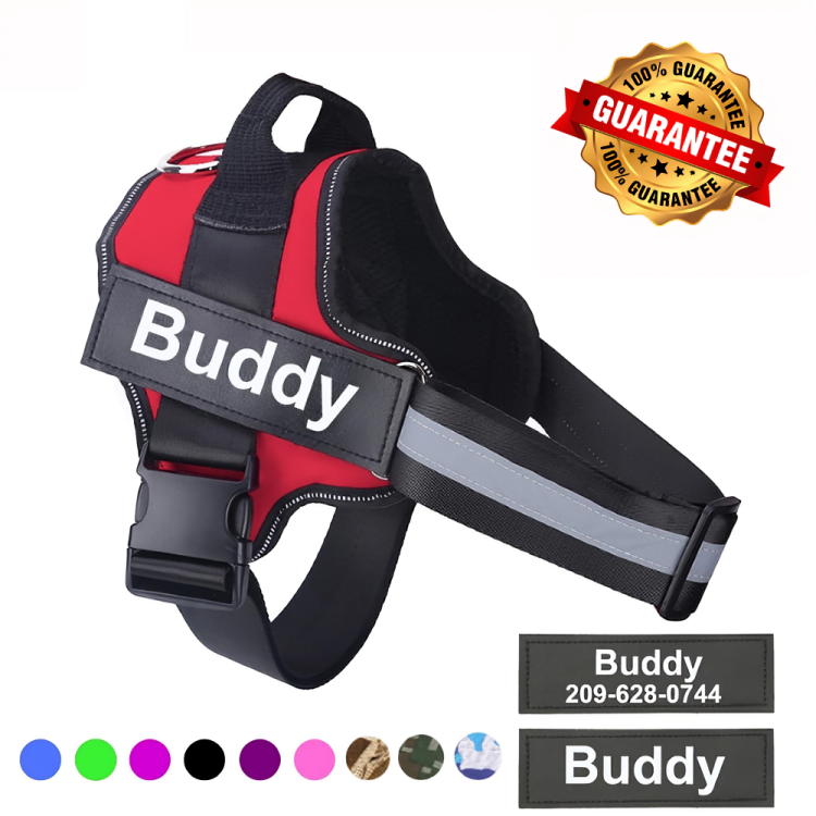 Personalized No Pull Dog Harness